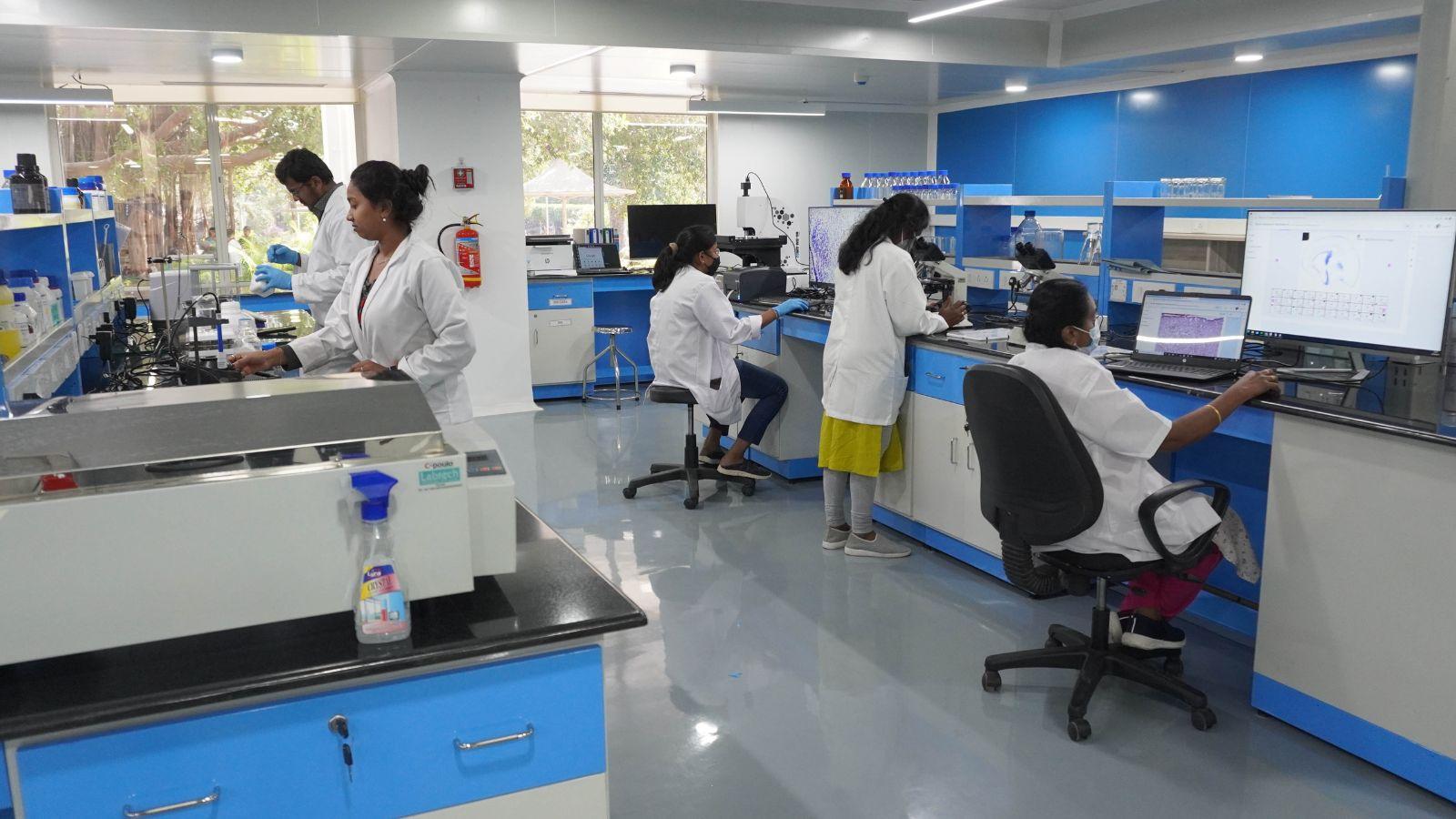 Dedicated Research and
Innovation Spaces